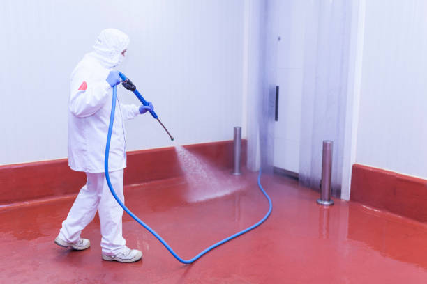 Best House Exterior Washing  in Weedsport, NY